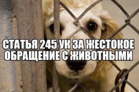 Прокуратура Сарапульского района разъясняет Уголовная ответственность за жестокое обращение с животными.
